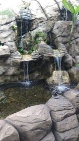 картинка  Пруд с водопадом  Doppio 23.03